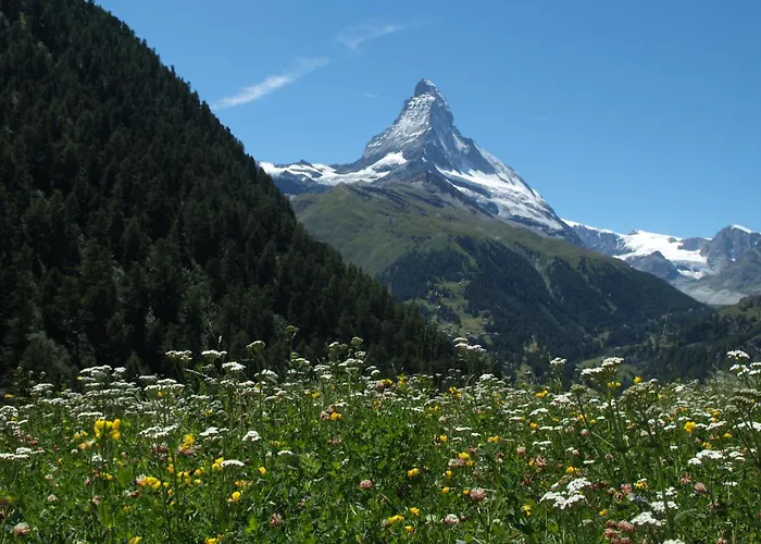 ガルニ テスタ グリジア