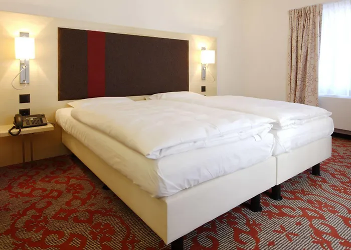 酒店 加尼特斯特格里加酒店 3*